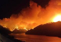 Yangın haberleri sonrası son dakika kararı! 31 Ekim'e kadar yasak...