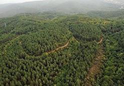 Valilikler resmen duyurdu! Yasak haberleri peş peşe geliyor, hafta sonu ve hafta içi...