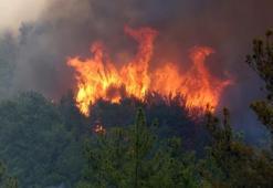 Orman yangınlarıyla ilgili son dakika açıklaması! Yeniden alevlendi, yerleşim bölgesine giriş yaptı