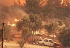Bodrum yangını nerede, Bodrum’da yangın nerede çıktı? Bodrum Mazı yangınında son durum ne?