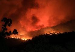 Türkiye'yi yasa boğan orman yangınlarında son durum! Alevler mahalleyi sardı... Bodrum Belediye Başkanı Ahmet Aras: Artık ne yapacağımızı şaşırdık...