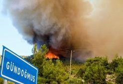 Orman yangınlarında son dakika! Gündoğmuş ilçesi tahliye ediliyor... Bodrum, Manavgat, Marmaris, Milas, Denizli ve Isparta'da son durum...