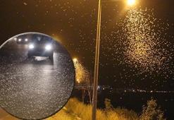 Bir anda yollar bembeyaz oldu! Gören şaşkına döndü: Ölüm dansı...