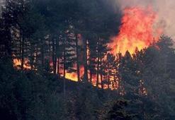 Yangınlarda son durum ve NASA Fire Map Turkey ile yangın haritası! (İl il yangın listesi ve tablosu) Orman yangını nerelerde var?