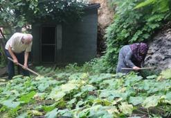 Organik diye alınan ürünlerde kanser riski!