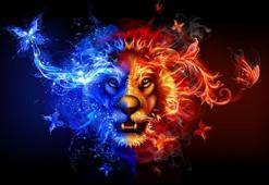 Aslan burcu erkeği hoşlandığını nasıl belli eder? Aslan burcu erkeği aşık olursa ne yapar?