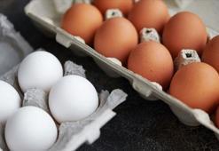 Yumurtanın faydaları nelerdir? Yumurta neye iyi gelir, ne kadar tüketilmelidir?