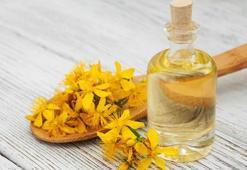 Kantaron yağının faydaları nelerdir? Kantaron yağı nasıl kullanılır, zararı var mı?