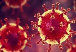 Norovirüs nedir, belirtileri nelerdir? Noronavirüs nasıl geçer, insandan insana bulaşır mı?