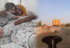Görüntüler dehşete düşürdü! 'Böyle yapacağını hissetsem uyarmazdım'