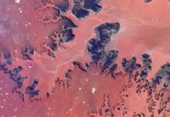 NASA paylaştı! Herkes Mars sandı ama burası Dünya
