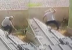 Ataşehir'de civcivlerini kovalayan köpeği öldüresiye dövdü!