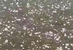 Trabzon'da yaylada dolu yağışı! Bir anda bastırdı