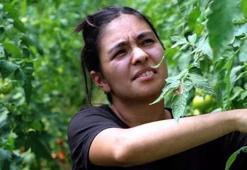 İşini bırakıp köye döndü! 6'ya katladı
