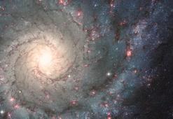 Türk doktorun renklendirdiği fotoğraf "NASA" seçkisinde!