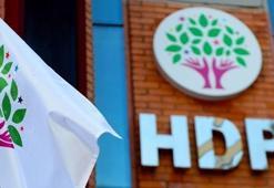 HDP, kapatma davası savunmasında AYM'den ek süre istedi