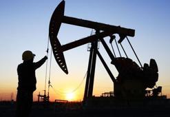 Petrol bulundu! Türkiye'ye 30 milyonluk müjde!