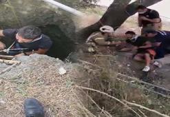 Bağırarak arkadaşlarından yardım istedi! Fotoğraf çekeyim derken...