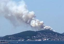 Heybeliada'da orman yangını çıktı! İstanbul Valisi Ali Yerlikaya açıkladı: Kontrol altına alındı