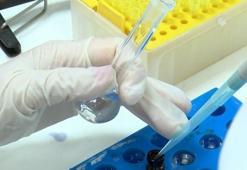 Kırtasiye ürünleri laboratuvarda test ediliyor