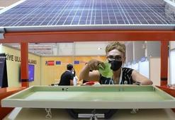 Meslek liseliler atıkları gübreye dönüştüren solar makine geliştirdi