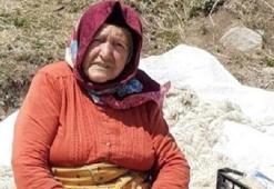 Mantardan zehirlenen büyükanne öldü! 6 torun hastanede