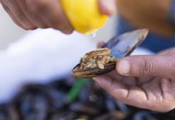 Midye, kalamar, karides, yengeç yemek haram mı? Diyanet'ten yeni açıklama...