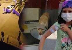 Emekli polis, köpeğe kurşun yağdırdı! Seken mermi çocuğa isabet etti
