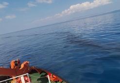 Bakan Karaismailoğlu duyurdu! Harekete geçildi, bariyerlerle kapatıldı