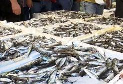 Balık fiyatları ne kadar, av yasağı sonrası balık fiyatları düştü mü? İşte güncel balık fiyatları 2021 ve haldeki balık fiyatları