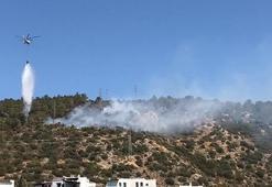 Bodrum'da ormanlık alanda yangın! Havadan ve karadan müdahale ediliyor