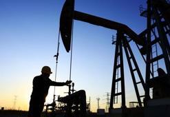 Petrol bulundu! Türkiye rekor üstüne rekor kırıyor