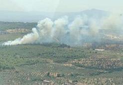 İzmir'de yangın paniği!