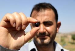 Eşi hastalanınca yetiştirmeye başladı! Taleplere yetişemiyor, kilosu 380 lira...