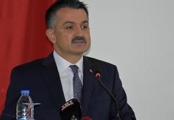 Destek ödemesi ile ilgili flaş açıklama! Bakan Pakdemirli duyurdu