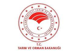 Tarım ve Orman Bakanlığı personel alımı 2021 başvuru nasıl yapılır, 2021 şartları nelerdir?