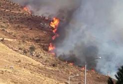 İzmir'de orman yangını