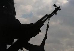 Terör örgütü PKK hakkında bomba peşmerge iddiası!