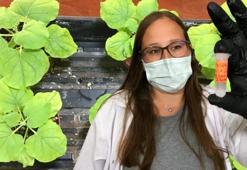 Kokteyl koronavirüs aşısında kritik gelişme! Çocuklarda da kullanılabilecek