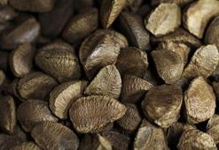 Birçok hastalığa çare! Erkekler dikkat: Testosteron düzeyini artırıyor