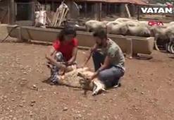 Melek İpek zor günleri geride bıraktı!