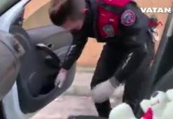 Polis aramasında şaşırtan durum! Oyuncak ayı içinden çıktı!