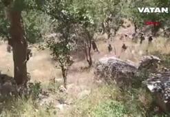 Pençe-Kaplan Operasyonu'nuyla örgüte darbe vurulmaya devam ediliyor