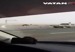 Dubai'de sıradan bir gün