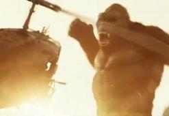Kong: Kafatası Adası Film Fragmanı