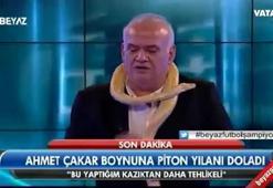 Ahmet Çakar pitonu boynuna doladı