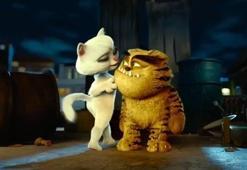 Kötü Kedi Şerafettin Film Fragmanı