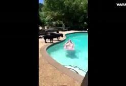 Köpekten eşek şakası