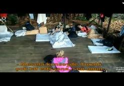 Survivor'da küfürler havada uçuştu!