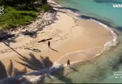 Survivor'da Ünlüler adası acı çığlıklarıyla inledi